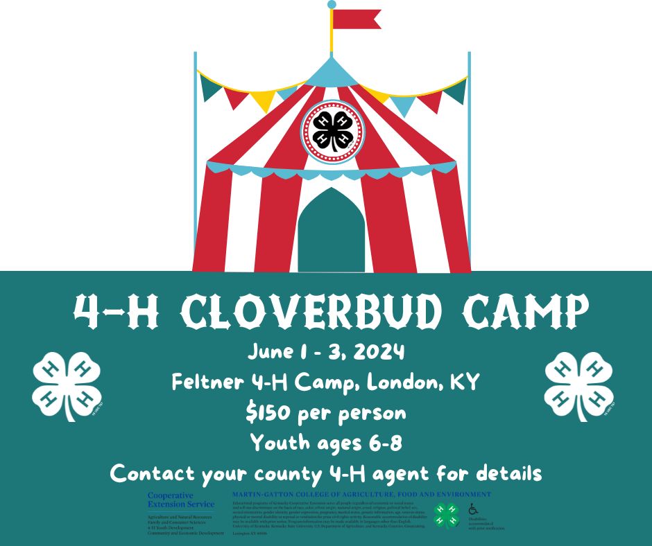 Cloverbud Camp