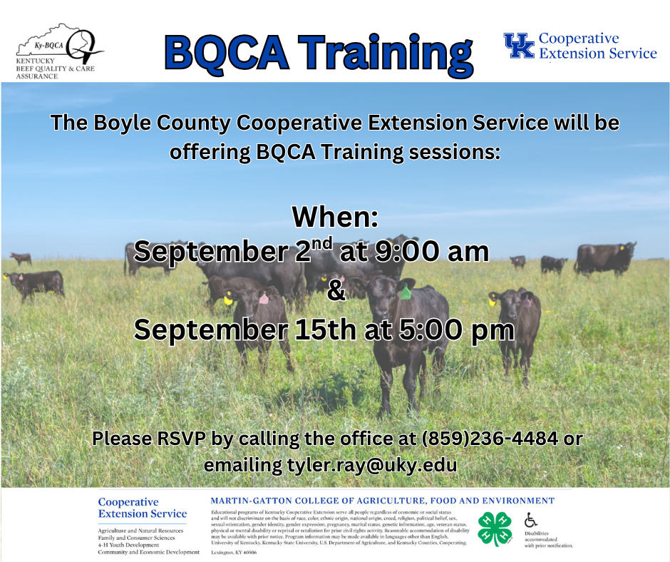 BQCA Training