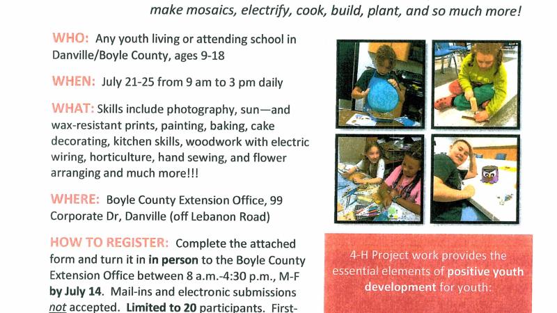 4-H Project Week