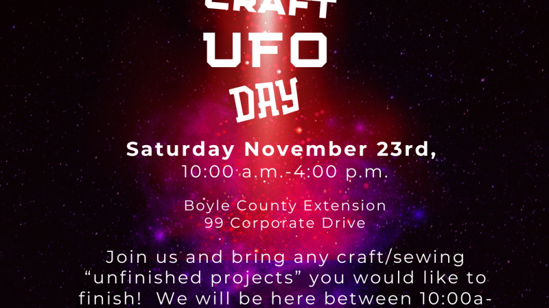 Sewing Craft UFO Day 